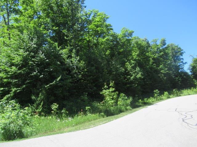 2194 Chapel Hill Dr, Petoskey, MI 49770