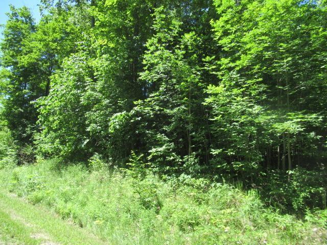 2194 Chapel Hill Dr, Petoskey, MI 49770