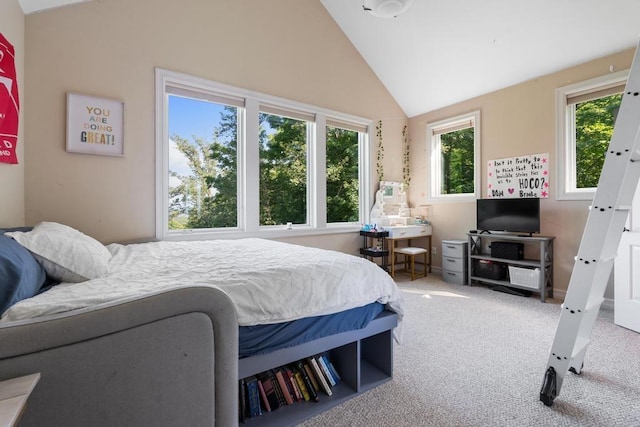 carpeted bedroom with vaulted ceiling