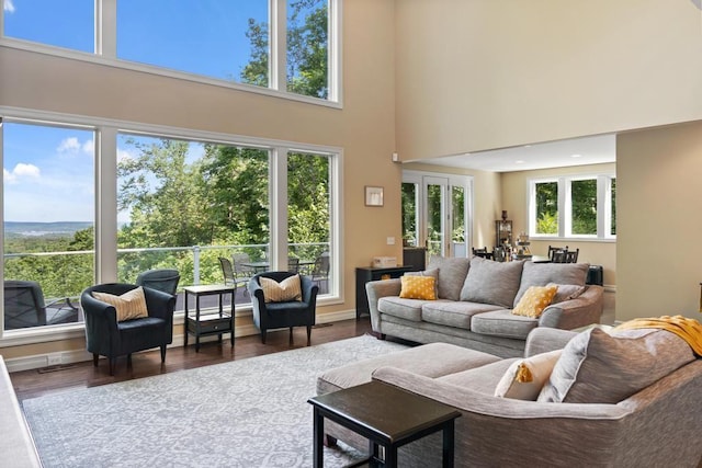 living area featuring a towering ceiling and dark wood-style flooring