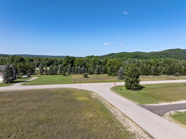 Listing photo 2 for TBD Pine Meadow Ln, Boyne Falls MI 49713