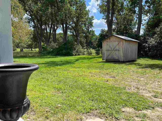 view of yard with a storage shed