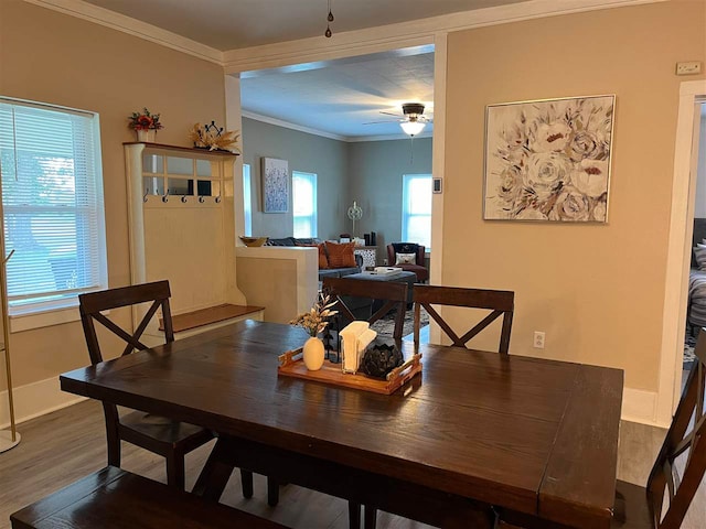 dining space featuring ceiling fan, wood-type flooring, plenty of natural light, and crown molding