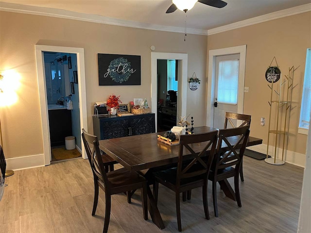 dining room with light hardwood / wood-style flooring, ornamental molding, and ceiling fan