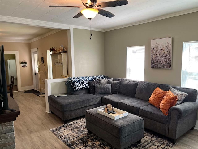 living room with ceiling fan, ornamental molding, and light hardwood / wood-style floors