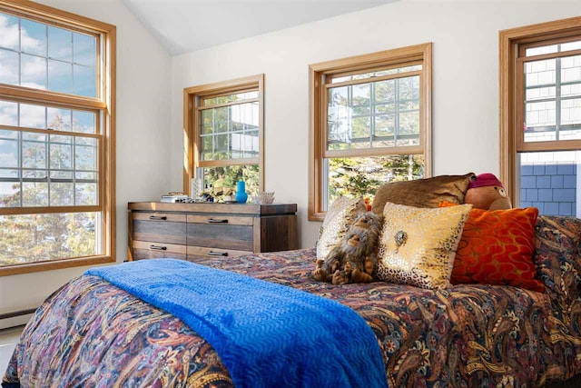 bedroom featuring lofted ceiling and baseboard heating