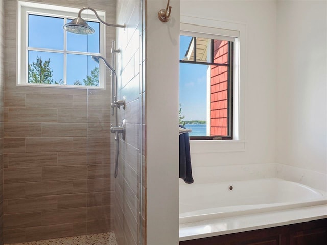 11305 Evergreen Ln, Charlevoix, MI 49720 - full bath with a tile shower and a garden tub