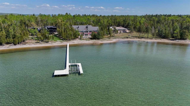 11305 Evergreen Ln, Charlevoix, MI 49720 - aerial view of a large body of water and a forest