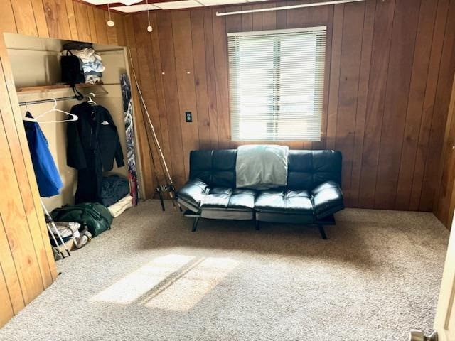 living area with carpet and wooden walls