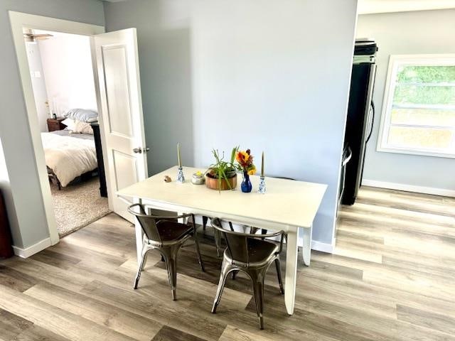 dining area with light hardwood / wood-style floors