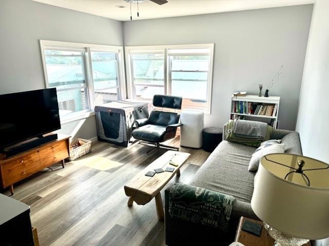 living room with ceiling fan and hardwood / wood-style floors