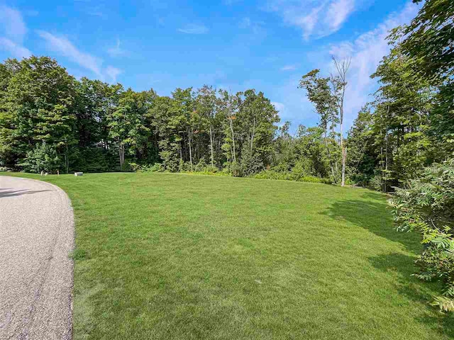 Listing photo 3 for TBD Wildwinds Dr, Bay Harbor MI 49770