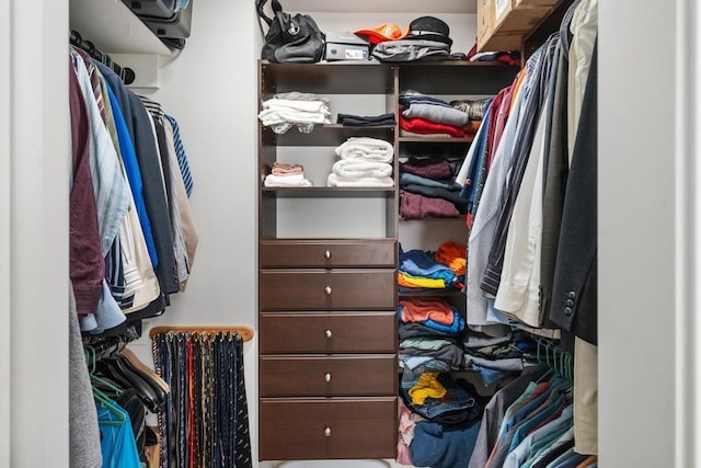 view of walk in closet