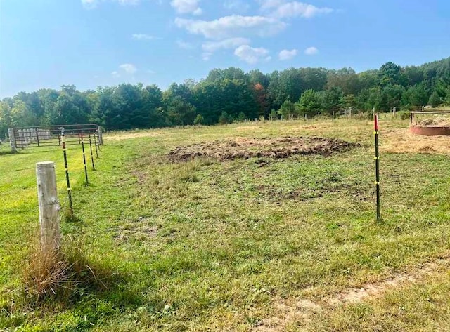 view of yard featuring a rural view