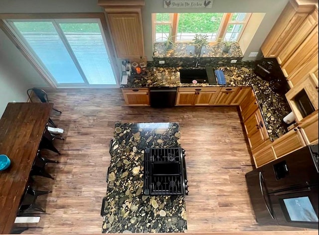 interior space with hardwood / wood-style floors, black dishwasher, and dark stone counters