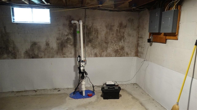 2767 Lake Grove, Petoskey, MI 49770 - below grade area featuring electric panel