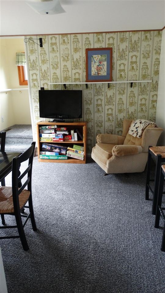 living room with carpet floors