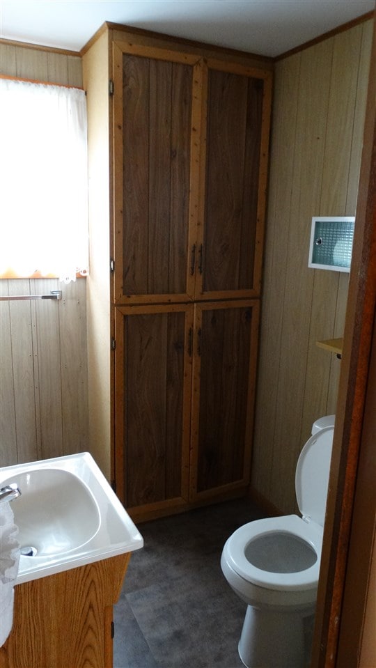 bathroom with vanity, toilet, wood walls, and tile patterned flooring