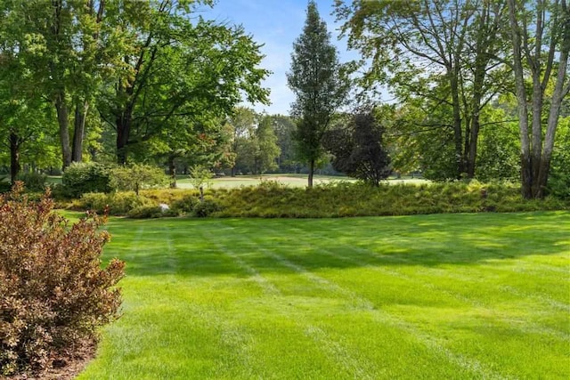645 Woodhill Ct, Harbor Springs, MI 49740 - view of yard