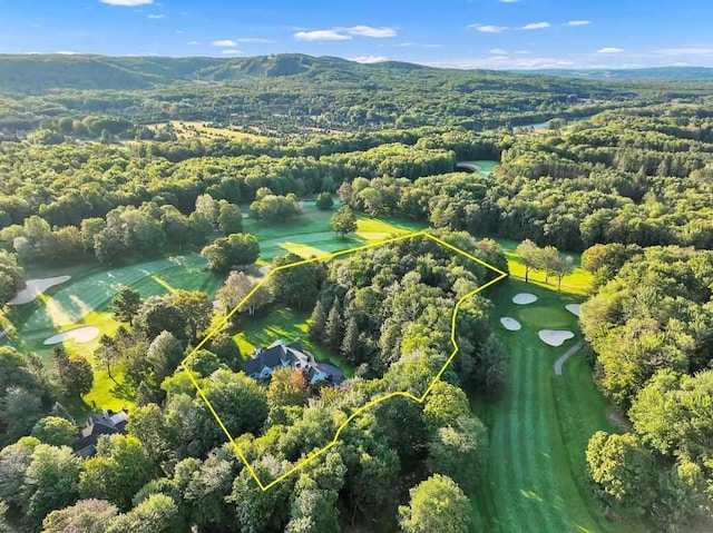 645 Woodhill Ct, Harbor Springs, MI 49740 - aerial view featuring a mountain view and a forest view