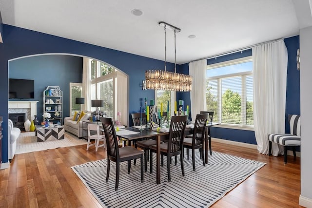 dining room with plenty of natural light and wood-type flooring