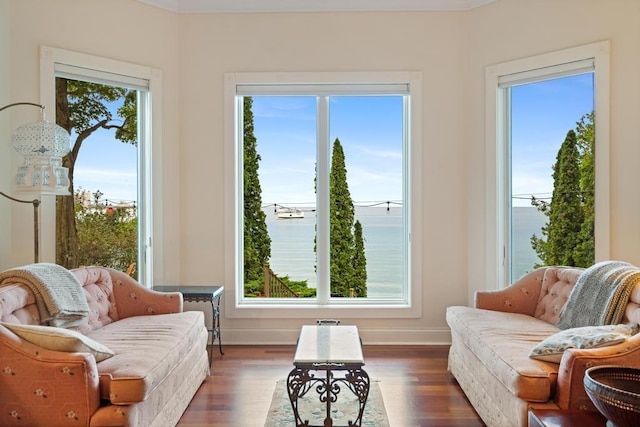 interior space featuring a wealth of natural light, baseboards, and wood finished floors