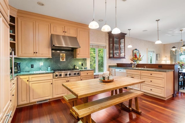 kitchen featuring under cabinet range hood, a sink, dark wood finished floors, glass insert cabinets, and stainless steel gas cooktop