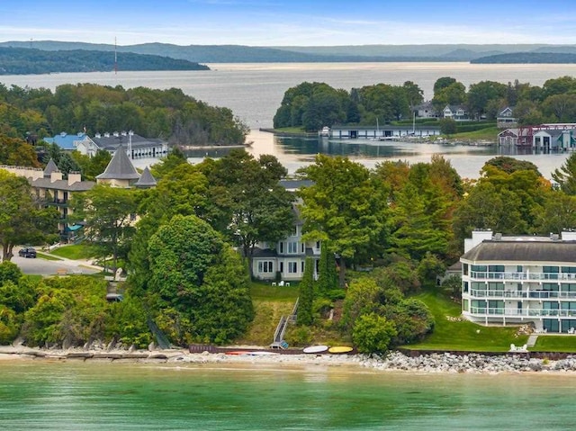 aerial view with a water view