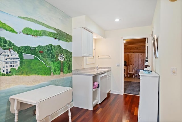 interior space featuring a sink, baseboards, and dark wood-style floors