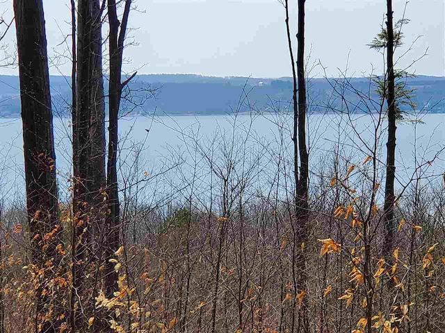 LOT4 Ruby Ln, Boyne City MI, 49712 land for sale