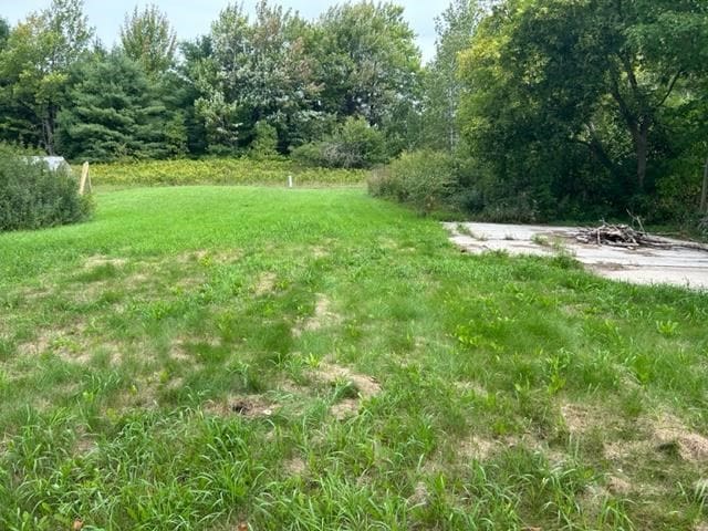 6457 State St, Pellston MI, 49769 land for sale