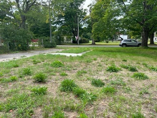 6457 State St, Pellston, MI 49769