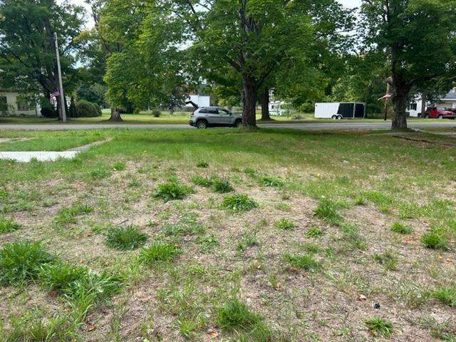 6457 State St, Pellston, MI 49769