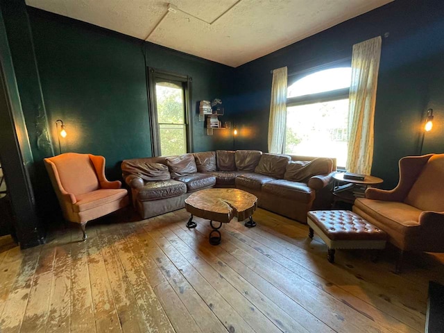 living room featuring hardwood / wood-style flooring