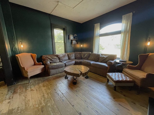 living room featuring wood-type flooring