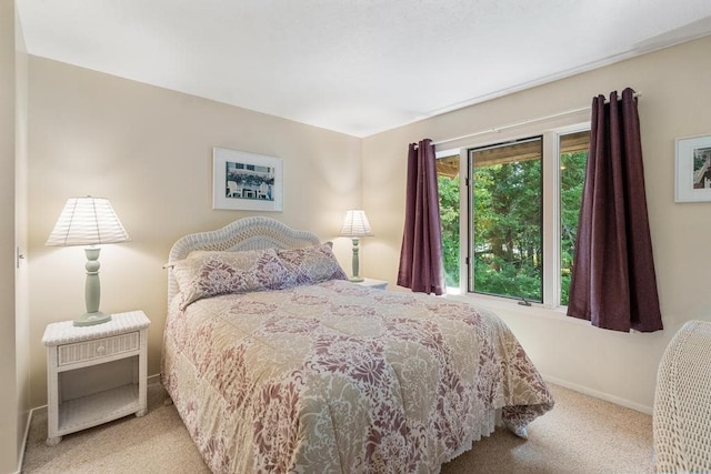 bedroom with carpet flooring