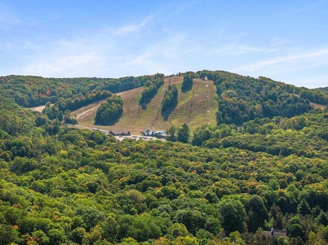 view of mountain feature