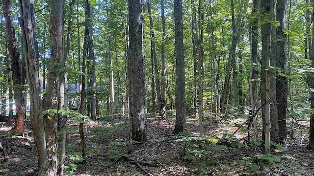 Listing photo 3 for LOT466 Northwood Dr, Elmira MI 49730