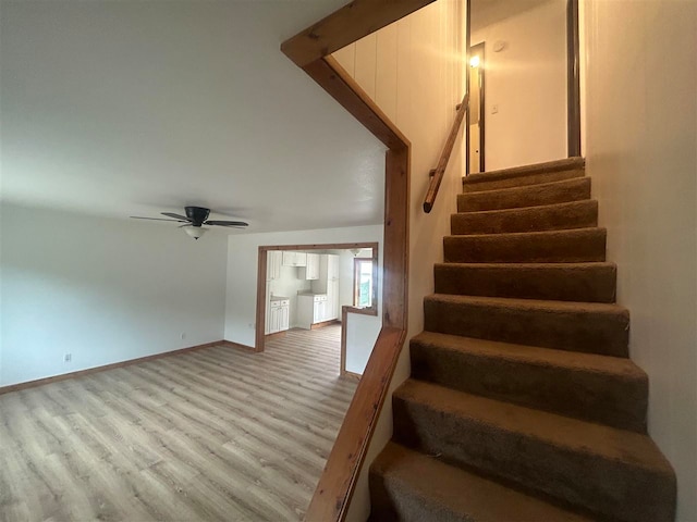 staircase with wood-type flooring and ceiling fan