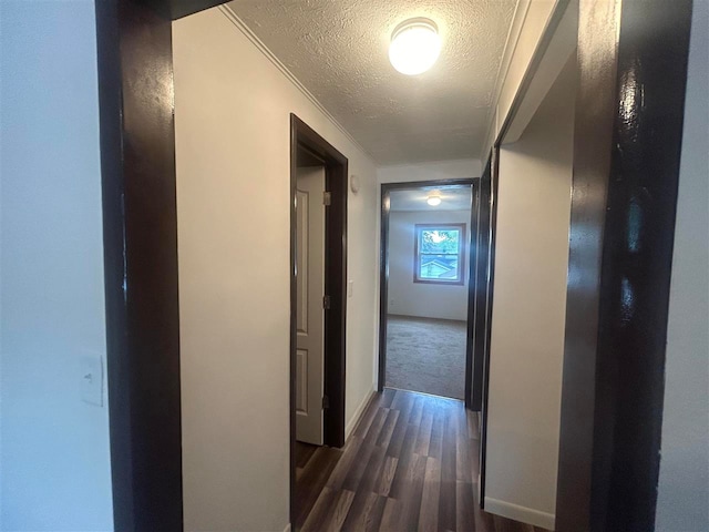 hallway featuring a textured ceiling and dark hardwood / wood-style flooring