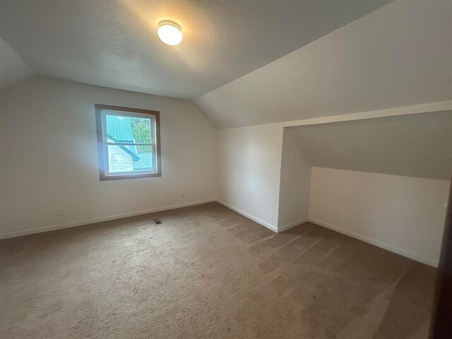 additional living space with a textured ceiling, carpet, and lofted ceiling