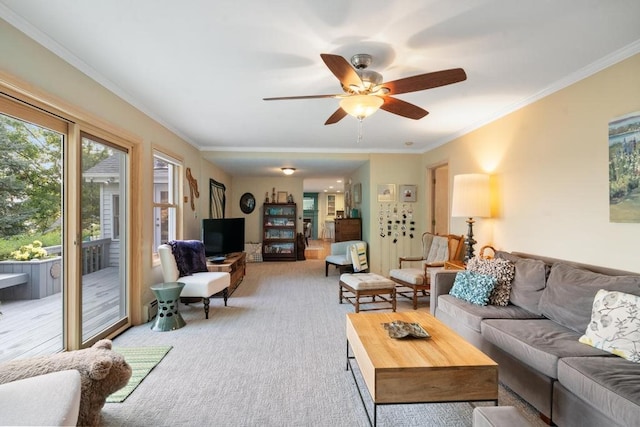 carpeted living room with crown molding and ceiling fan