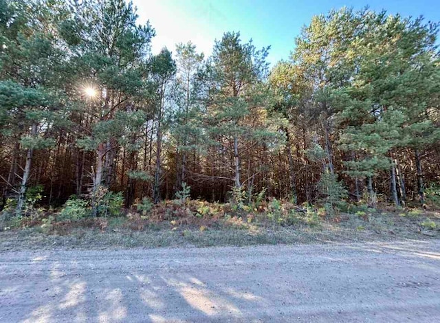 Listing photo 2 for TBD Townline Rd, Pellston MI 49769