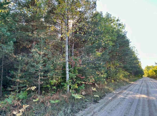 Listing photo 3 for TBD Townline Rd, Pellston MI 49769