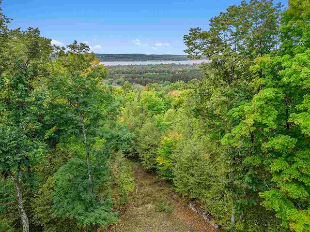 view of local wilderness