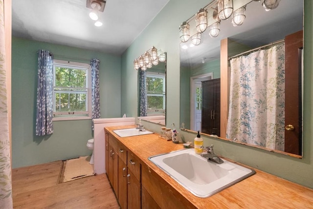 bathroom featuring hardwood / wood-style floors, vanity, and toilet