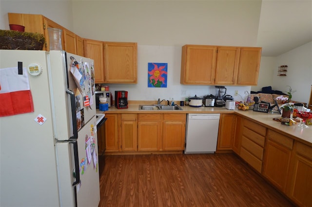 kitchen featuring dark hardwood / wood-style floors, sink, and white appliances