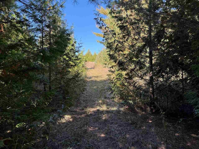 TBD Beatty Rd, Charlevoix MI, 49720 land for sale