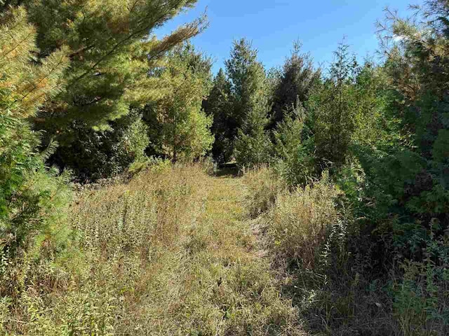 Listing photo 3 for TBD Beatty Rd, Charlevoix MI 49720