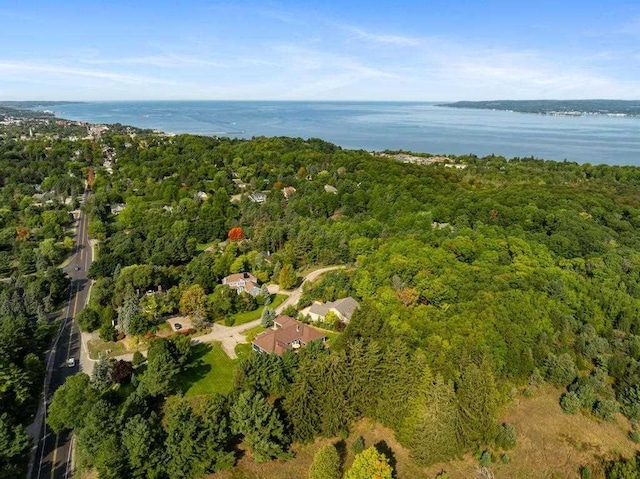 290 Mitchell Hills Dr, Petoskey, MI 49770 - aerial view of property and surrounding area featuring a forest and a nearby body of water